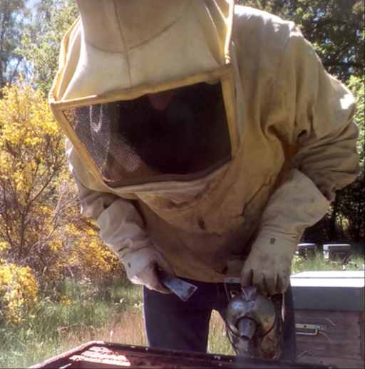 apiculteur au travail dans un rucher