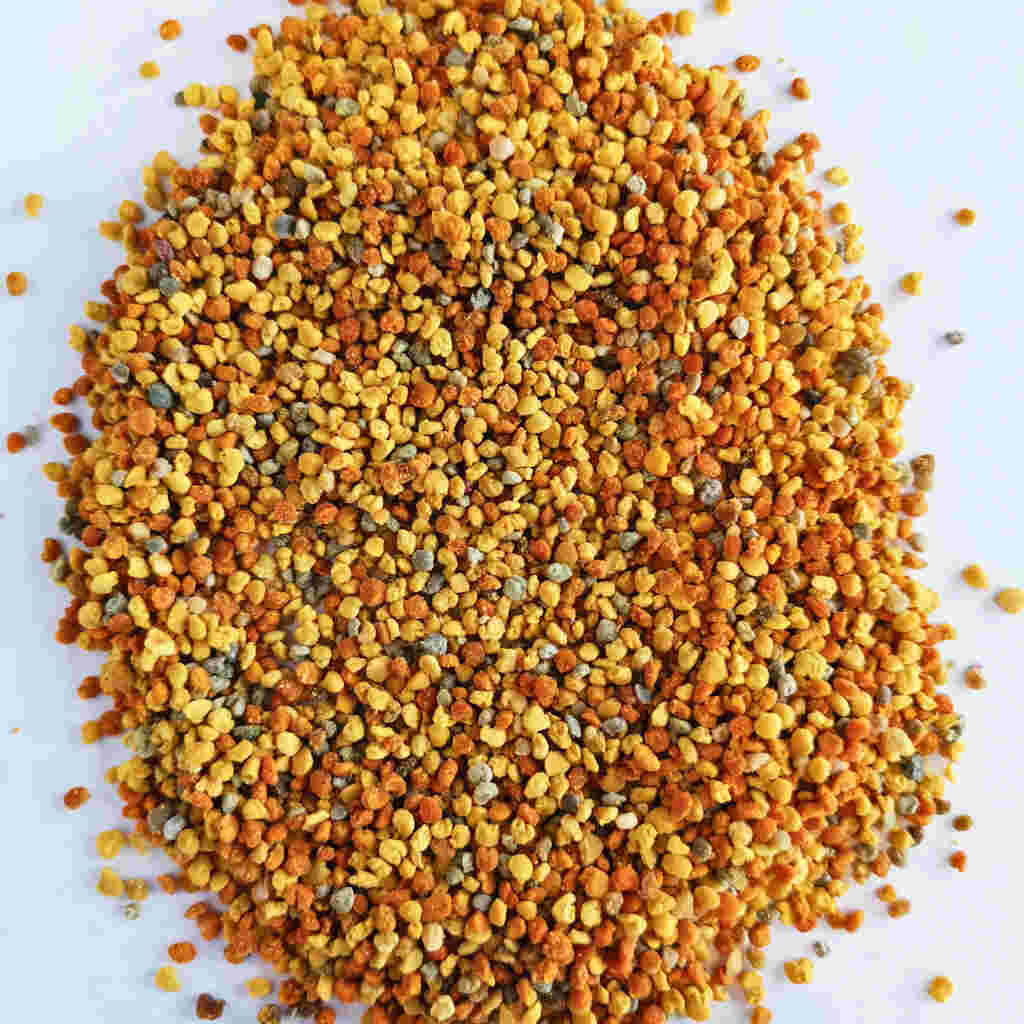 Pollen vrac bio lacourcelle