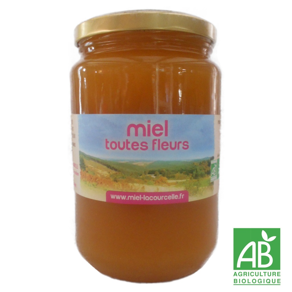 Miel toutes fleurs Bio origine France - pot de 1 kg